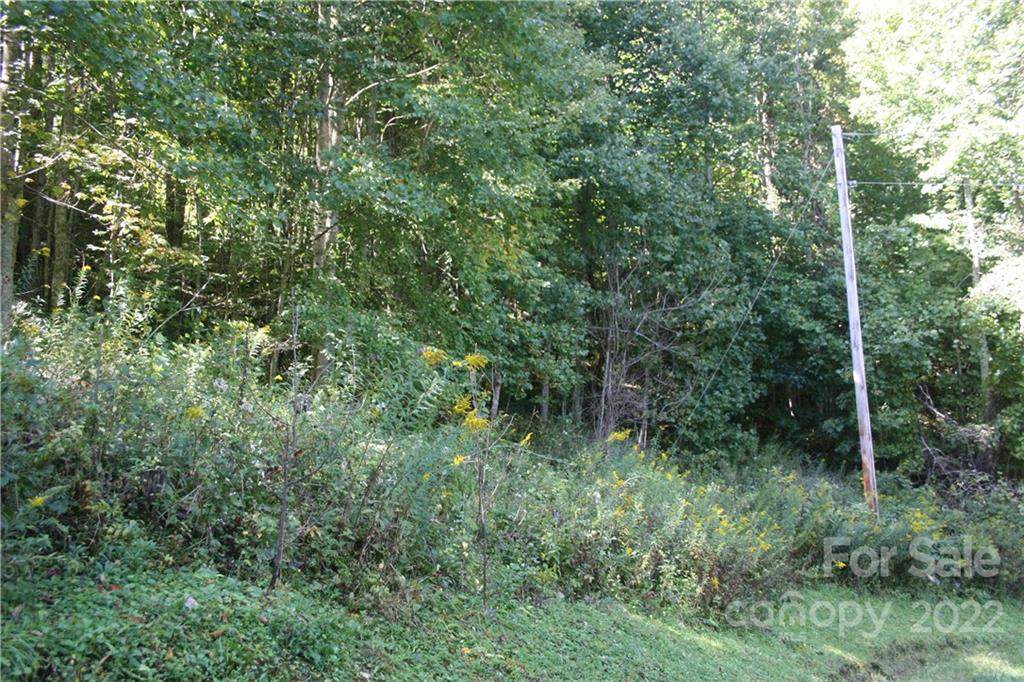 9 Haw View Drive - Photo 1
