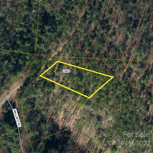2901 Pine Ridge Drive - Photo 1