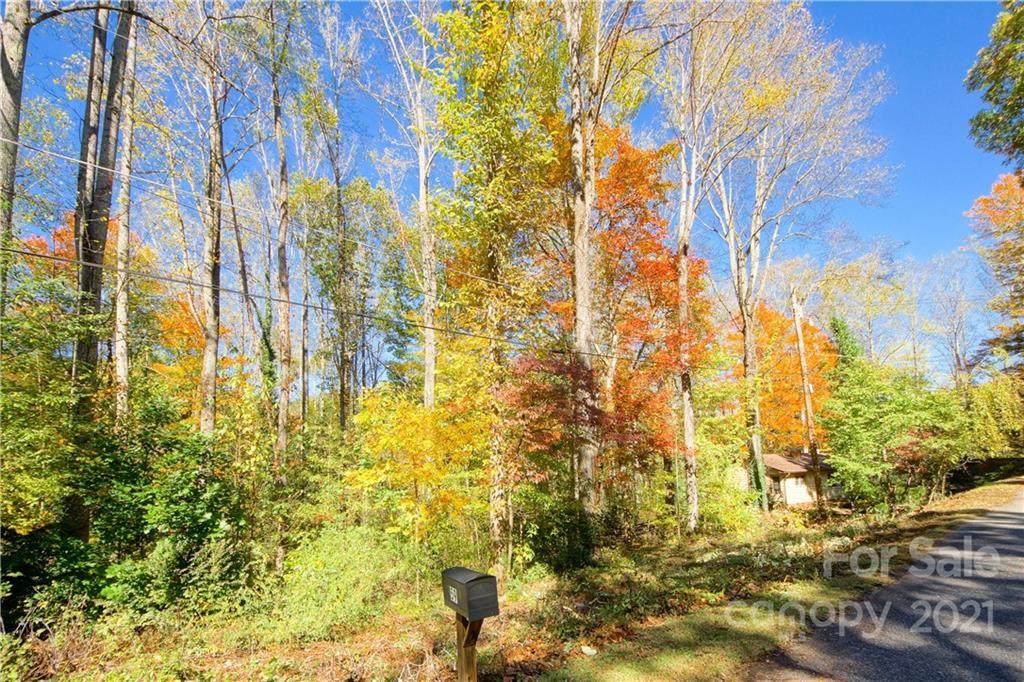TBD Ash Drive - Photo 1