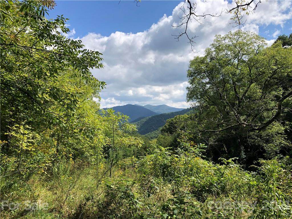 00 Smokey Cove Road - Photo 1