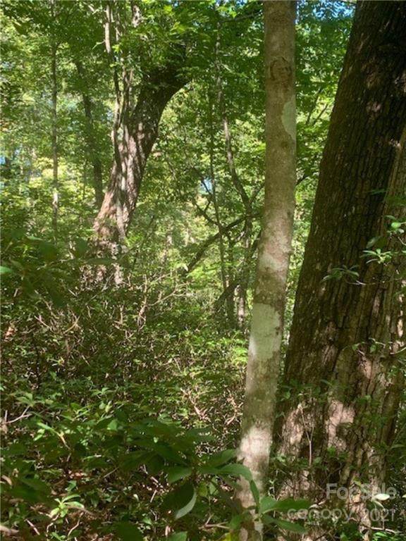 LOT 155 Bonnie Lee Lane - Photo 1