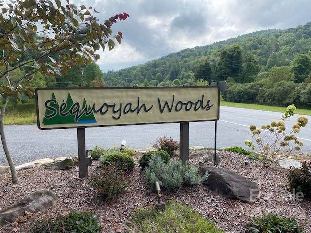Lot 9 Galax Lane - Photo 1