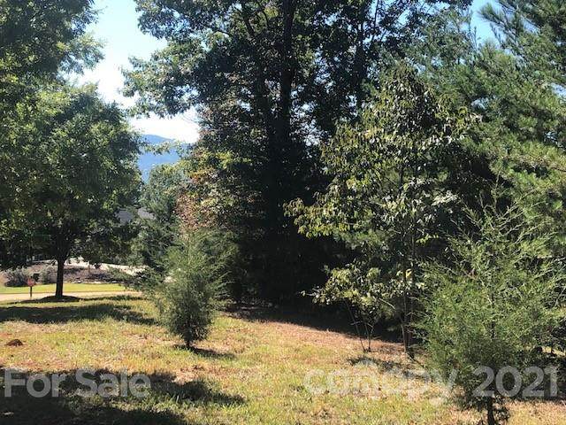 Lot 50 Mountain Parkway - Photo 1