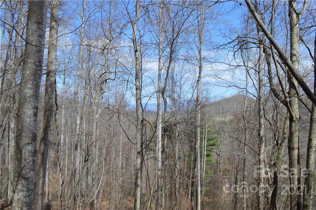 99999 Case Cove Road - Photo 1