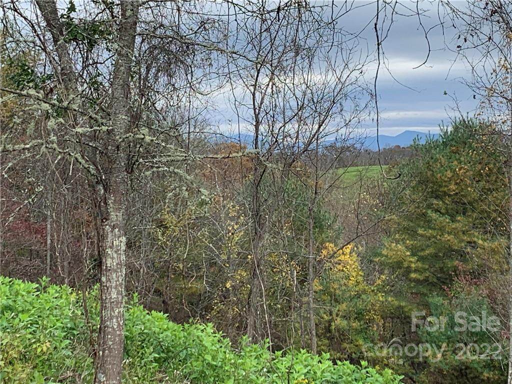 00 Blackberry Ridge Road - Photo 1