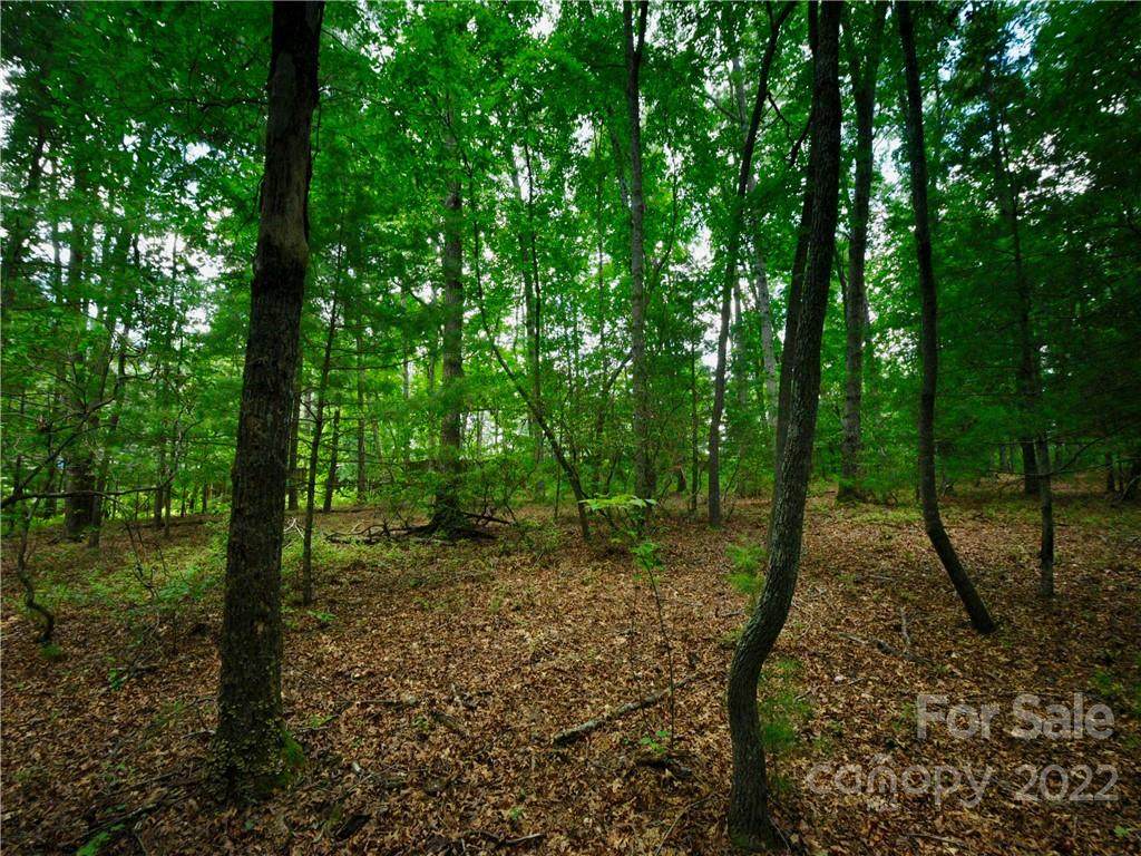 79 Running Creek Trail - Photo 1