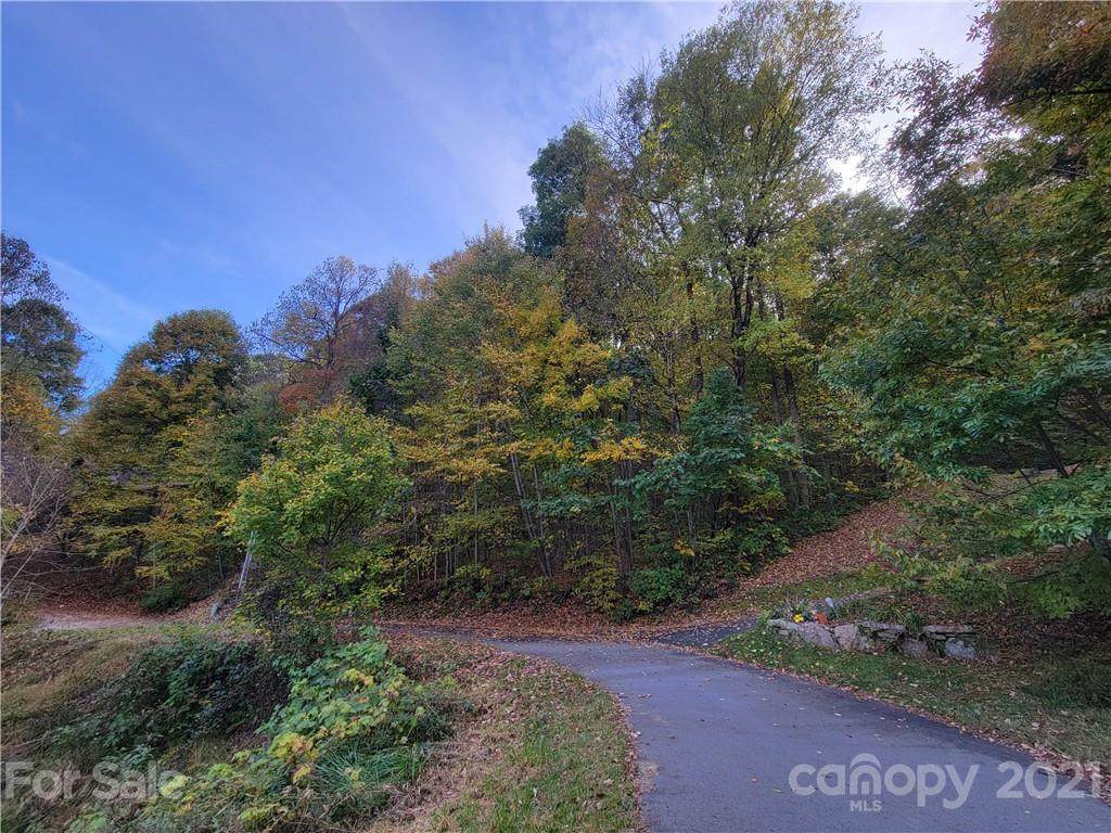 3 Silver Maple Lane - Photo 1