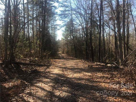 0000 Sunnybrook Pass - Photo 1