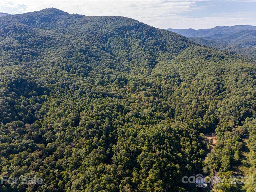 2729 Lower Flat Creek Road - Photo 1