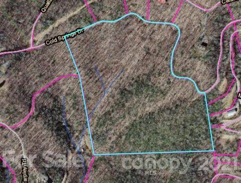 LOT 119 Cold Springs Drive - Photo 1