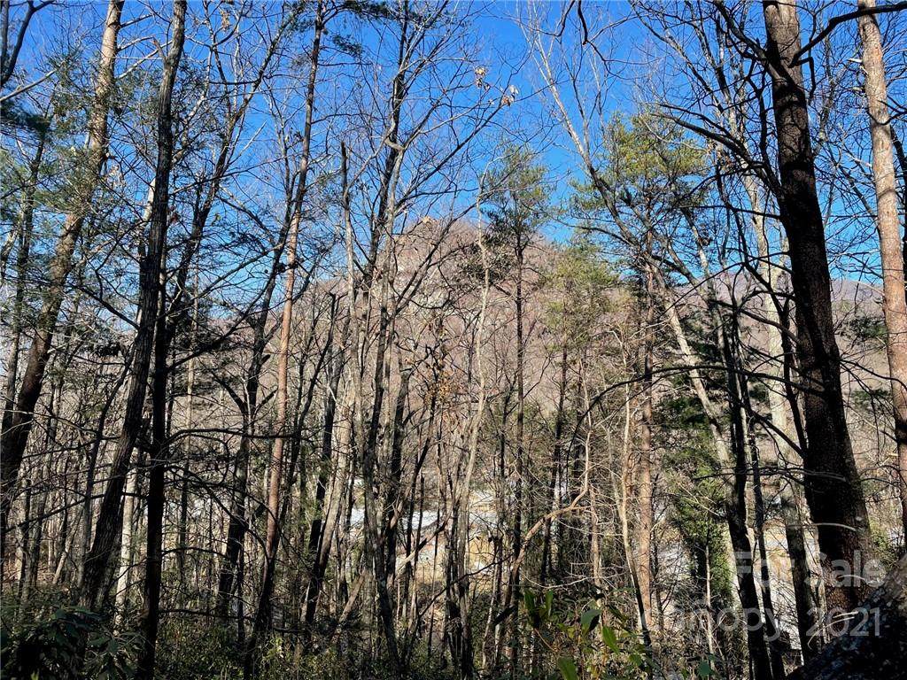 000 Chimney Cliffs Drive - Photo 1