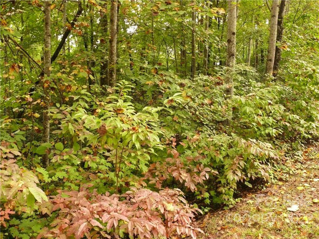 LOT 66 Shumont Estates Drive - Photo 1