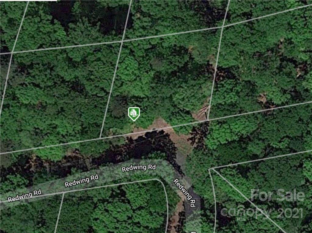 LOT 149 Red Wing Road - Photo 1
