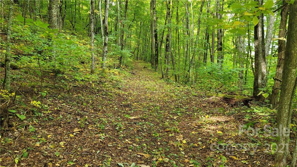 Lot 313 Serenity Mountain Road - Photo 1