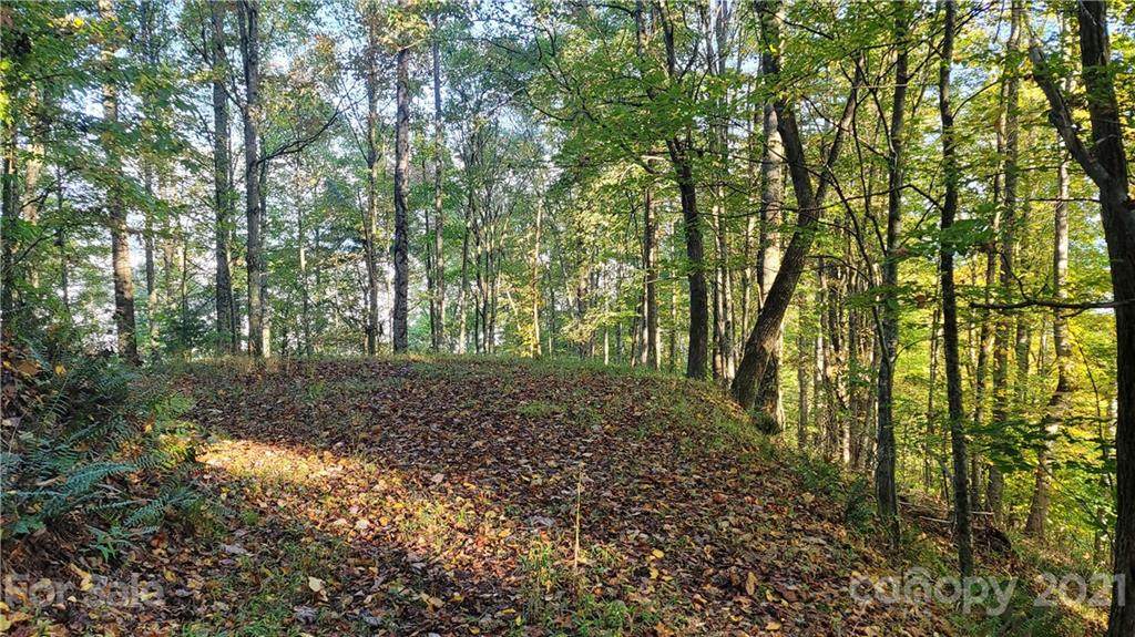 Lot 19 & 20 Dickinson Drive - Photo 1
