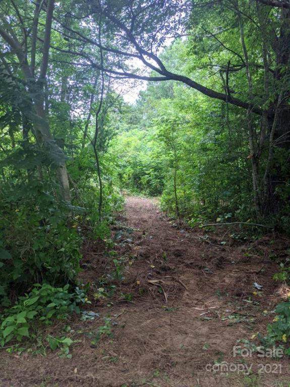 1518 Cline School Road - Photo 1
