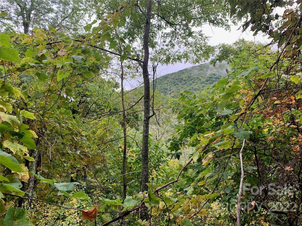791 Hidden Cove Road - Photo 1