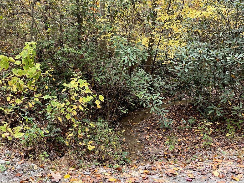 00 Waggoners Way - Photo 1