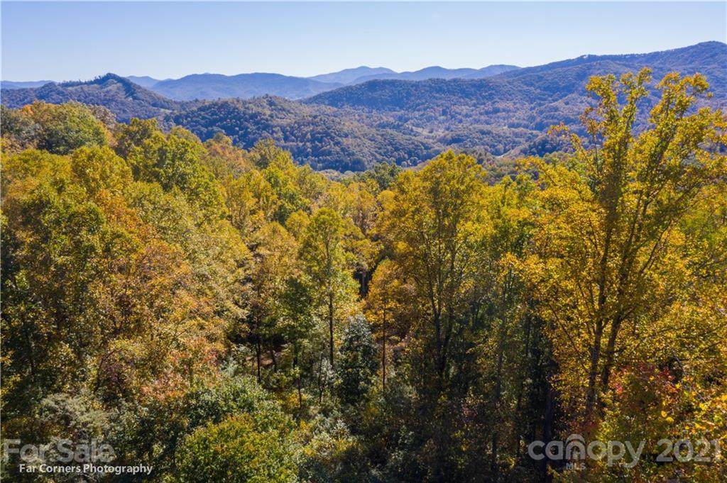 Lot #19 Mountain Watch Drive - Photo 1