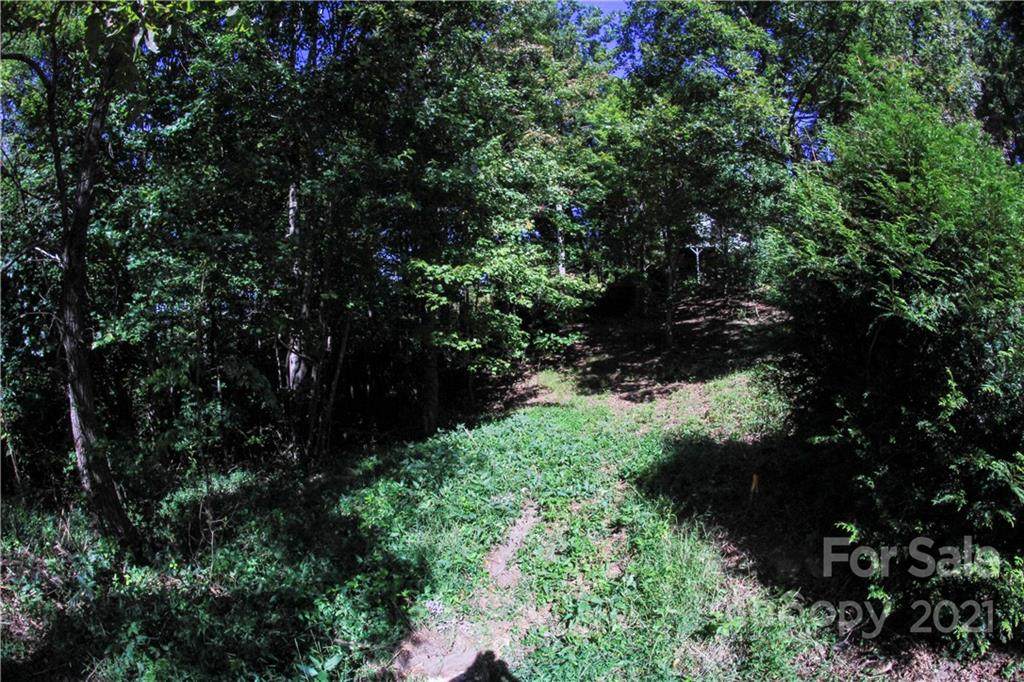 25 Fire Azalea Lane - Photo 1