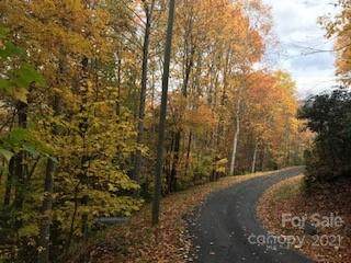 00 Eagle Roost Road - Photo 1