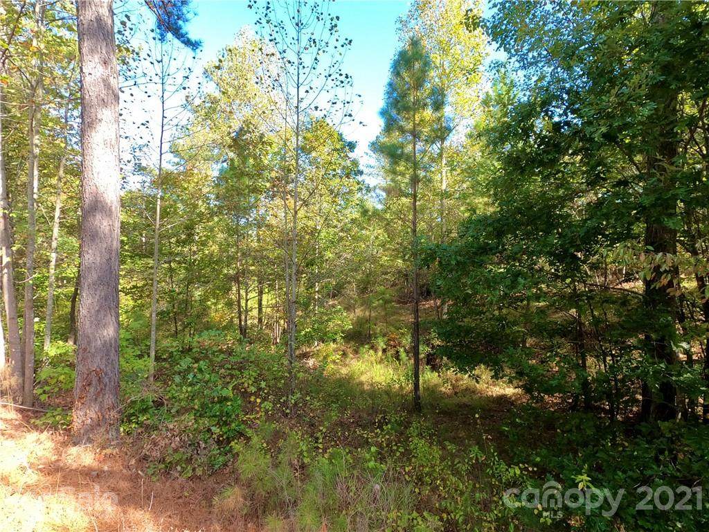 1012 Paradise Harbor Drive - Photo 1