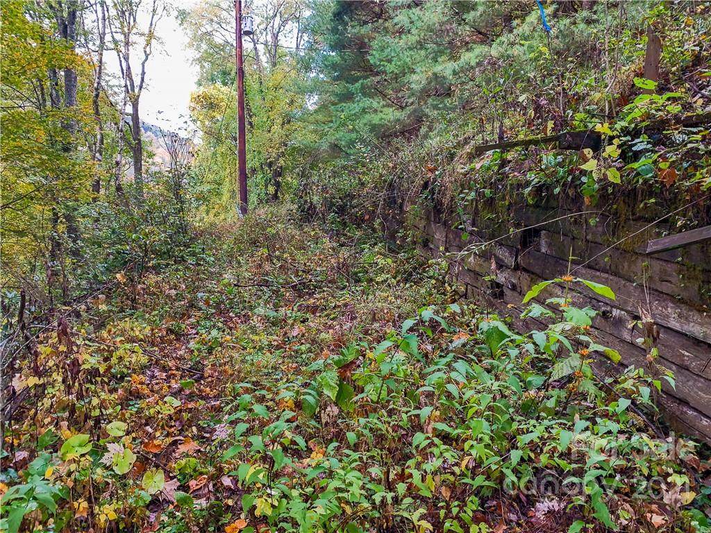 19 Huckleberry Drive - Photo 1