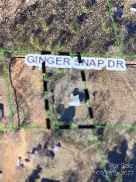 69 Ginger Snap Drive - Photo 1