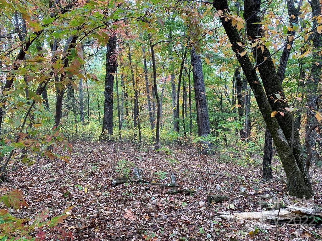 0 Red Mulberry Drive - Photo 1