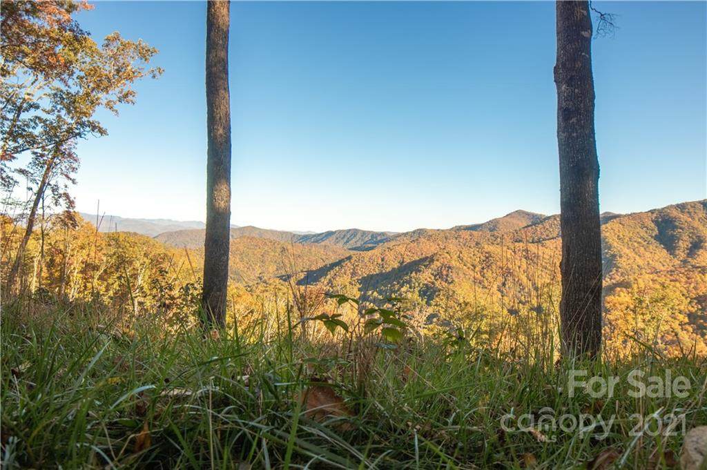 0 Wildwood Lane - Photo 1