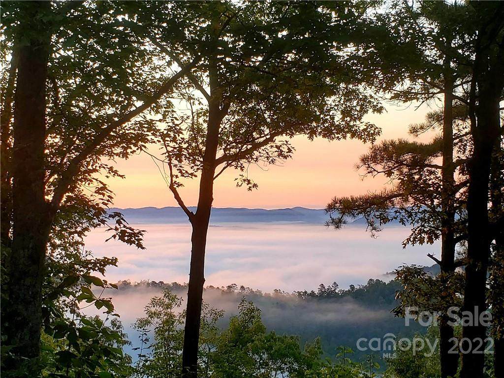 1117 Wild Turkey Run Road - Photo 1