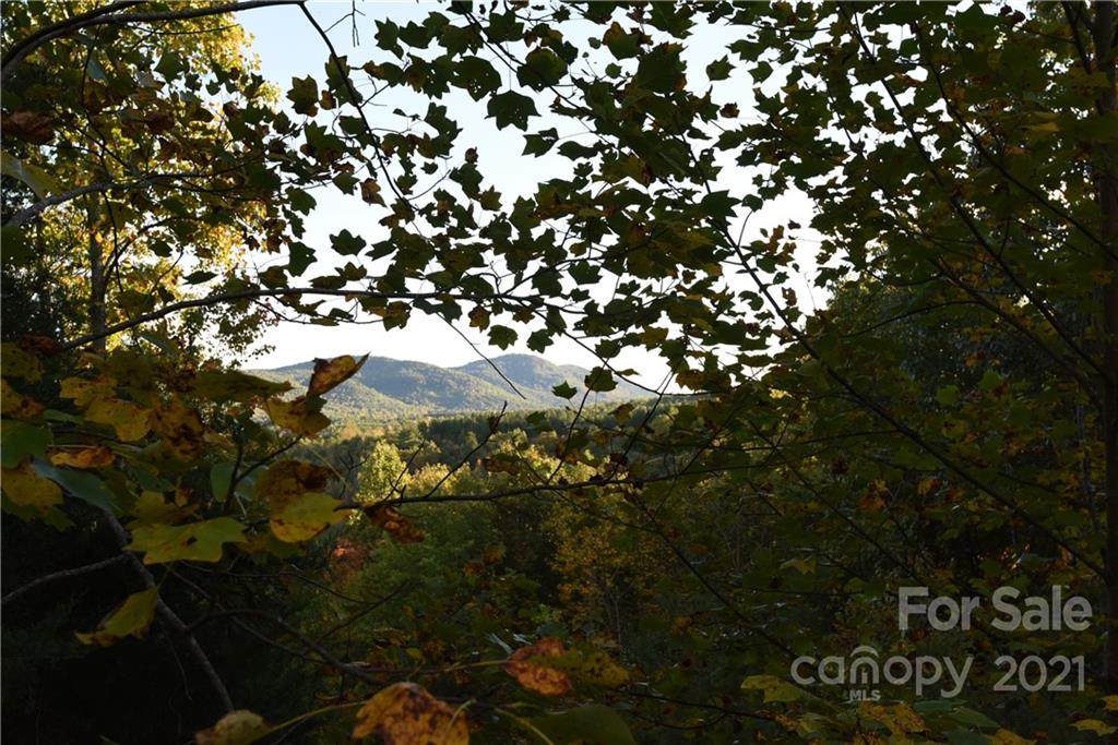 Lot 133 Sandy Creek Drive - Photo 1