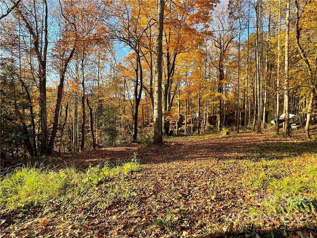 59 Shooting Star Drive - Photo 1