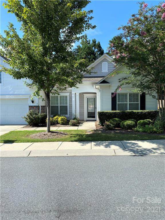 30231 Wood Duck Lane - Photo 1