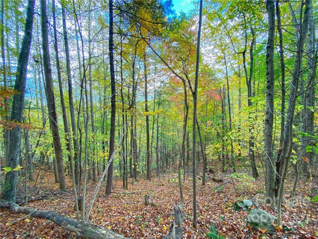 TBD Grouse Point Road - Photo 1