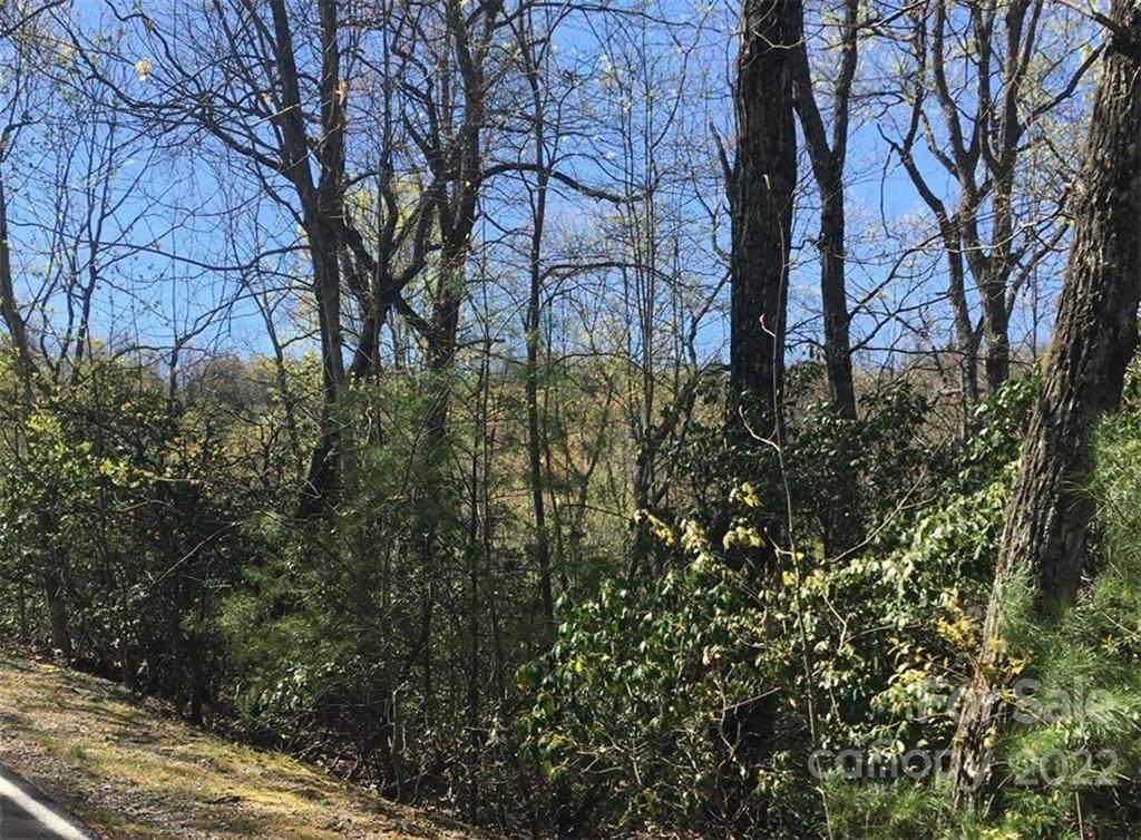 0 Ridge Lane - Photo 1