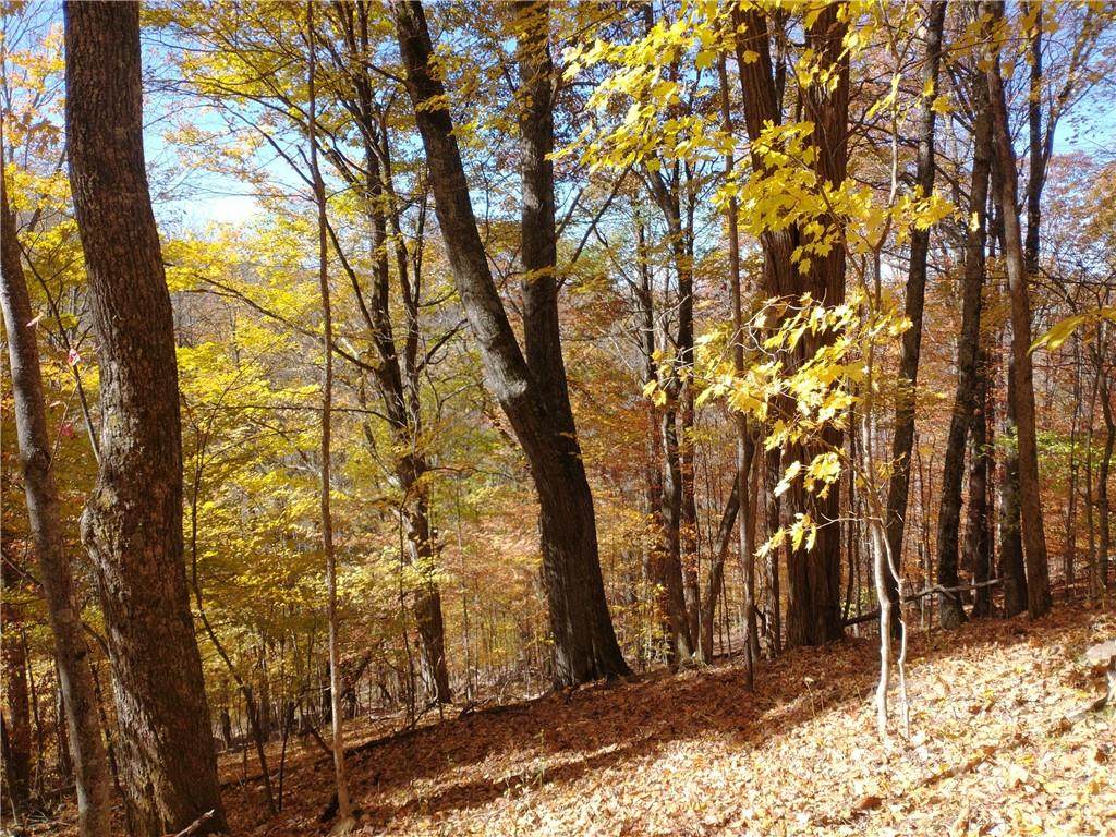 Lot 588 El Miner Drive - Photo 1