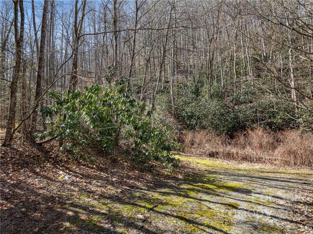 118 & 130 Saw Branch Road - Photo 1