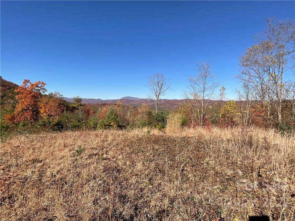 lot 60 Peppervine Circle - Photo 1