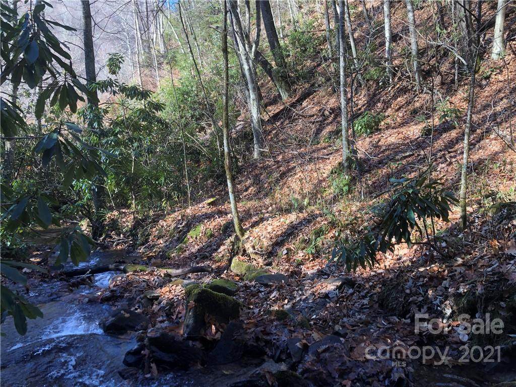 00 Black Camp Gap Road - Photo 1