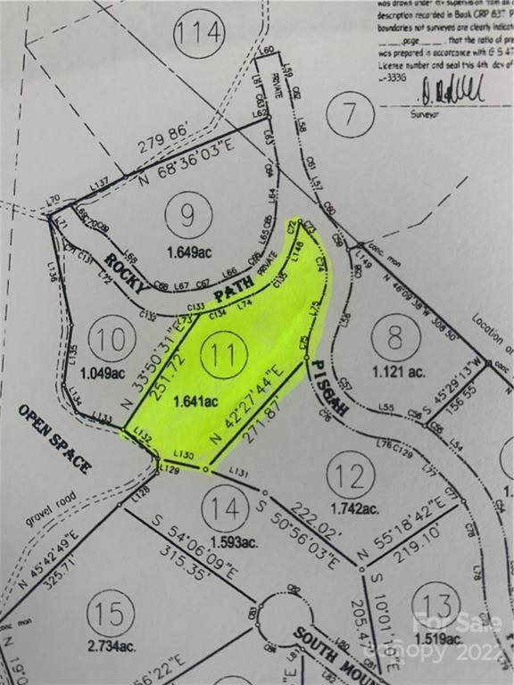 9119 Pisgah Preserve Drive - Photo 1