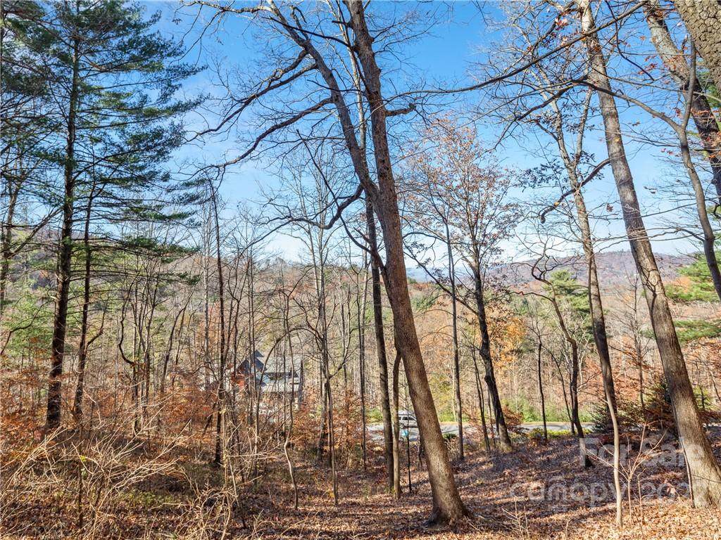 25 Franklin Trace Drive - Photo 1