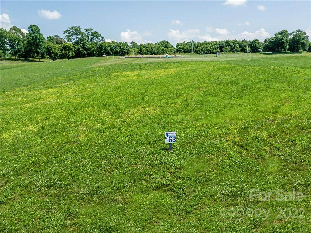 Lot 63 Double Knob Road - Photo 1
