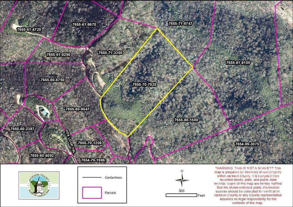 Lot 45 Bearwallow Ridge Trail - Photo 1