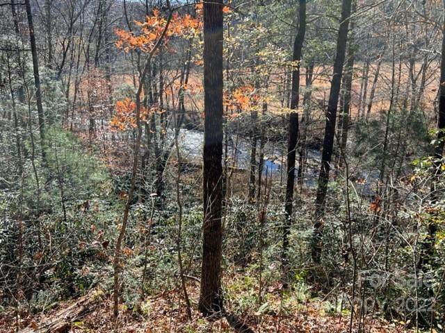 0000 Nc Hwy 9 - Photo 1