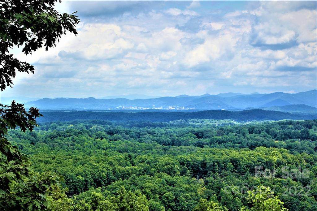 29 Ridge Pine Trail - Photo 1