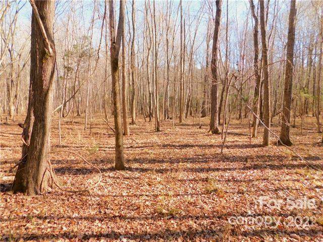 0 Morgan Acres Drive - Photo 1