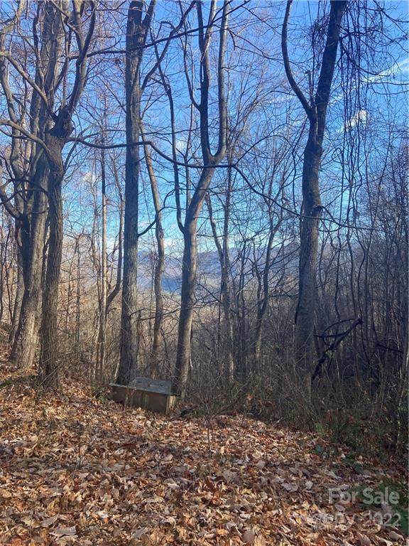 TBD Scott's Trail - Photo 1