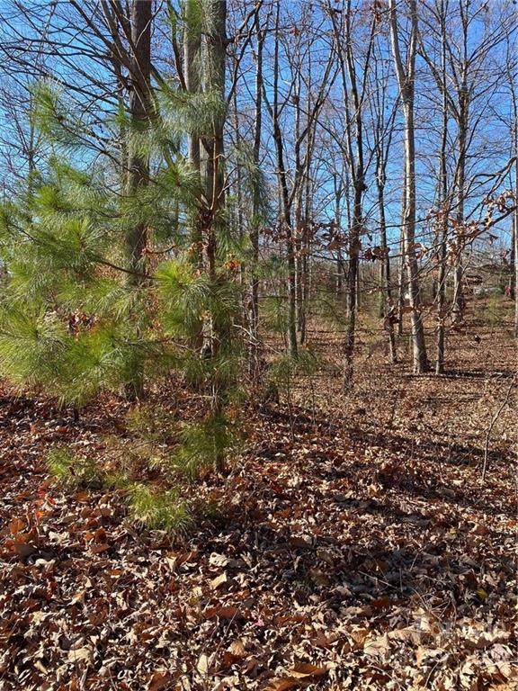 Lot 10 Innes Lane - Photo 1