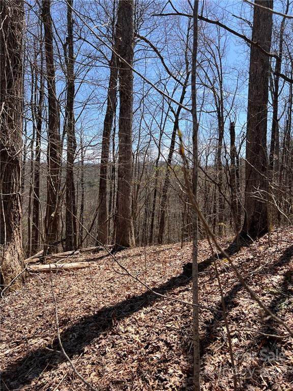 TBD Eastatoe Gap Road - Photo 1